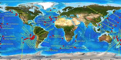 Integrative Taxonomy Reveals Two New Species of Stalked Barnacle (Cirripedia, Thoracica) From Seamounts of the Western Pacific With a Review of Barnacles Distributed in Seamounts Worldwide